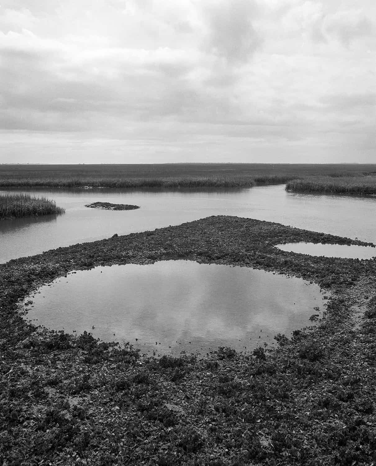 Puddles in a marsh.